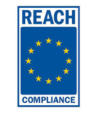 Image result for reach logo
